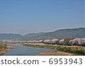 Kyoto backbusters cherry blossoms 6953943