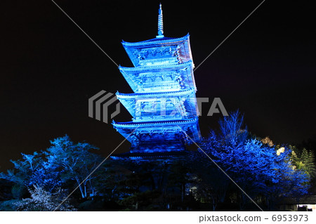 在Bicaku點亮國分寺 6953973