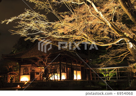 Kodaiji temple open mouth Kodaiji temple open mouth 6954068