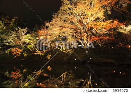 Wo Tsui Pond Wo Tsui Pond 6954070