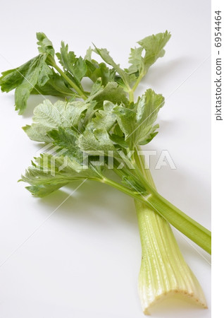 celery  6954464