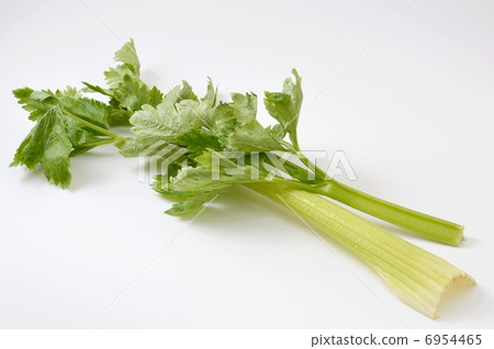 芹菜 芹菜 6954465
