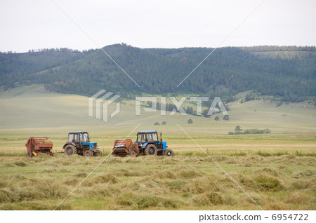 hay harvesting hay harvesting 6954722