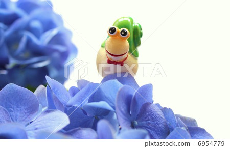 雨季圖像蝸牛和繡球花 雨季圖像蝸牛和繡球花 6954779