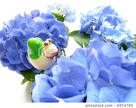 雨季圖像蝸牛和繡球花 雨季圖像蝸牛和繡球花 6954780