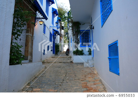 Sidi Bou Said 6955033