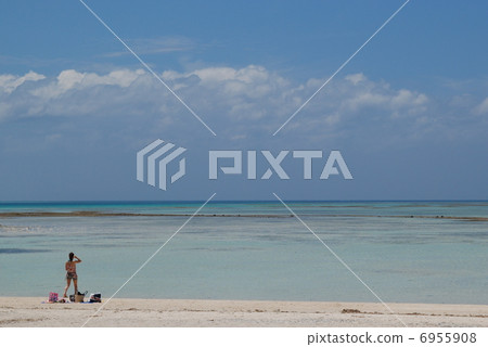 仲夏水平線 仲夏水平線 6955908