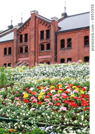 Yokohama Red Brick Warehouse 6955956