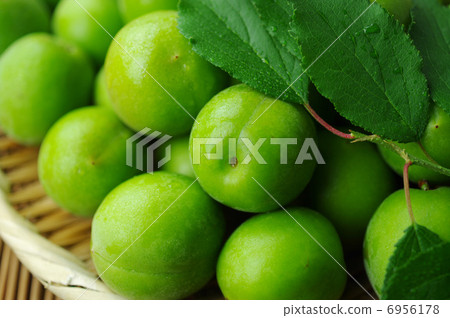 Ome in early summer 6956178