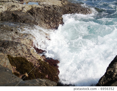 Enoshima Kagoshiriguchi 6956352