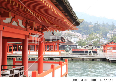 嚴島神社在雨中 6956452