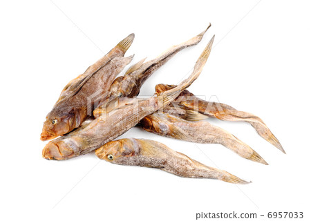 Dried bullhead (goby) isolated on white 6957033