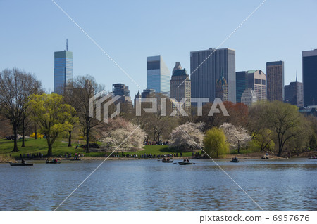 Spring's New York Central Park 6957676