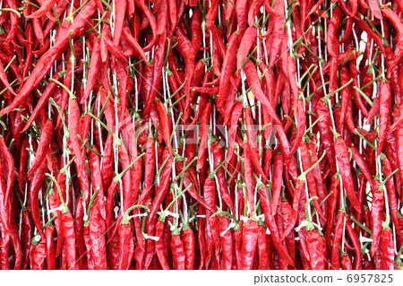 chili background 6957825