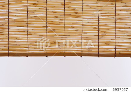 藤盲目 藤盲目 6957957