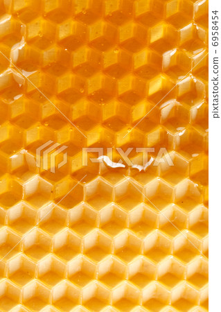 fresh honey in comb fresh honey in comb 6958454
