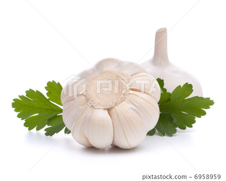 garlic bulb 6958959