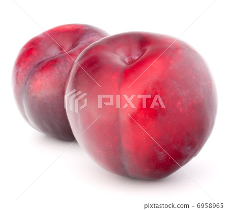 Ripe plum fruit Ripe plum fruit 6958965