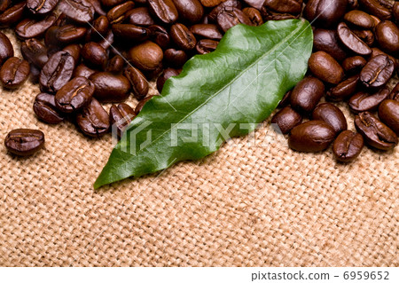 coffee beans coffee beans 6959652