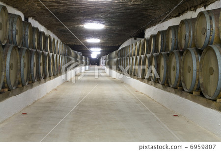 wine  barrels wine  barrels 6959807