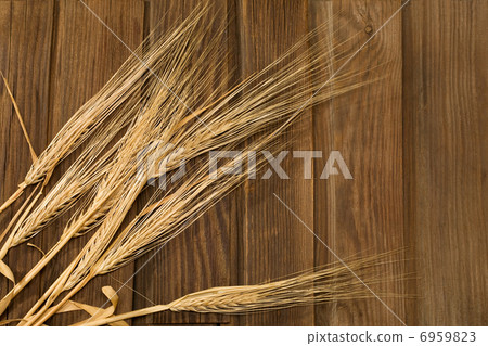 Wheat Ears 6959823