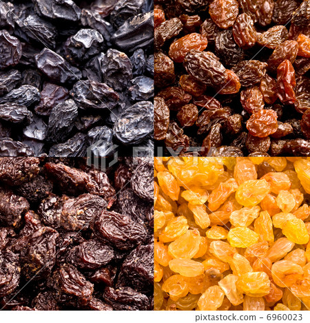 varieties of raisins varieties of raisins 6960023