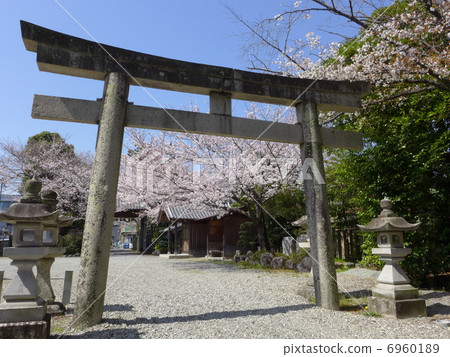 Yakumo Shrine (Mie Prefecture Matsusaka city) · Torii Yakumo Shrine (Mie Prefecture Matsusaka city) · Torii 6960189