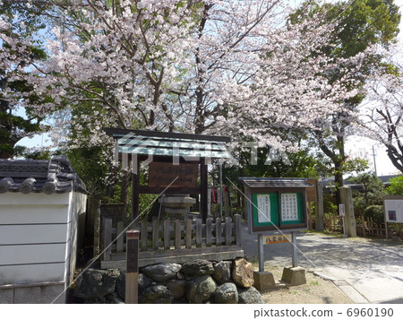 Yakumo Shrine (Mie Prefecture Matsusaka city) · within the precincts 6960190