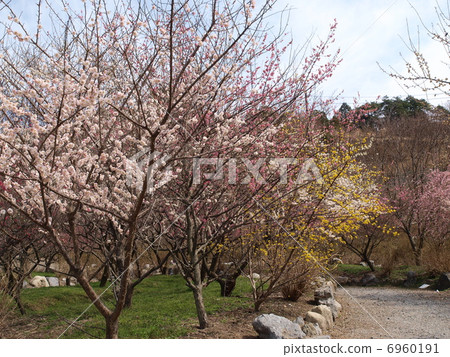 Inabe City Agricultural Park · Bairin Park 6960191