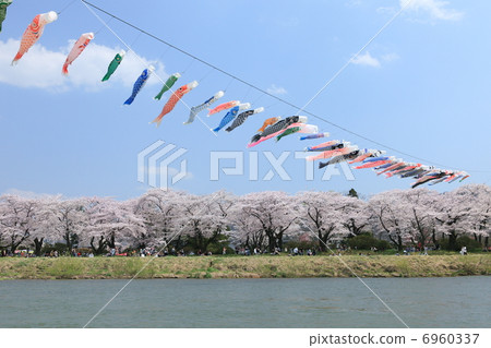 北上展Katsuchi 6960337