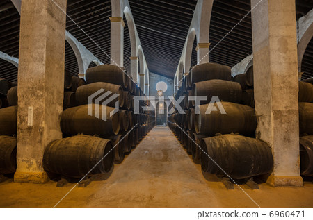 Sherry barrels in Jerez bodega, Spain 6960471