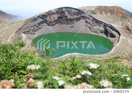 藏王銀杏 6960574