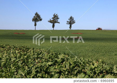 Onomichi no hill 6960895