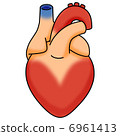 心臟 6961413