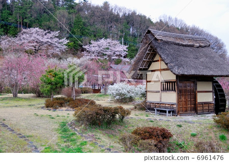 與風車的原始風景 與風車的原始風景 6961476