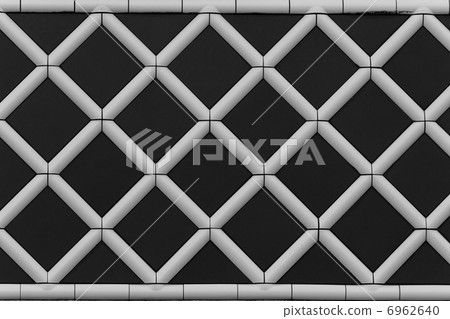 Marine bird wall Marine bird wall 6962640