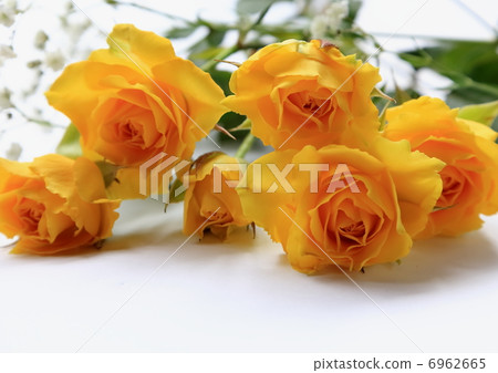 Father's Day  6962665