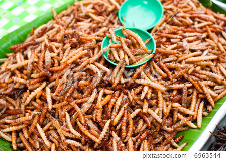fried insects mealworms for snack