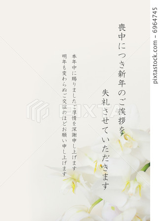 Phalaenopsylan哀悼明信片 6964745