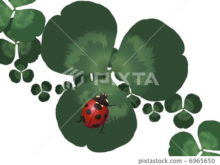Ladybug and Clover 4 6965650