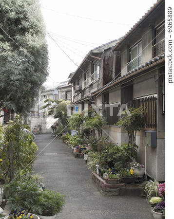 盲目的胡同和長屋 6965889