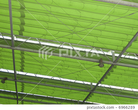 The roof of the shading sheet The roof of the shading sheet 6966289