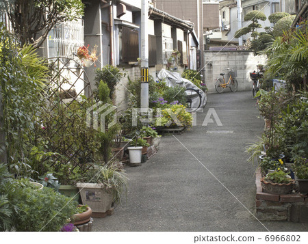 Blind alley and long house 6966802