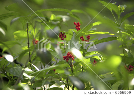 千里 千里 6966909