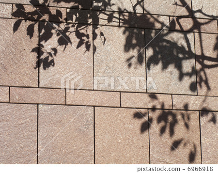 有樹蔭的鋪磁磚的牆壁 6966918