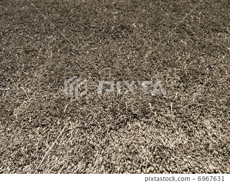 A little crowd 6967631