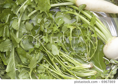 Seven herbs of spring Seven herbs of spring 6967869
