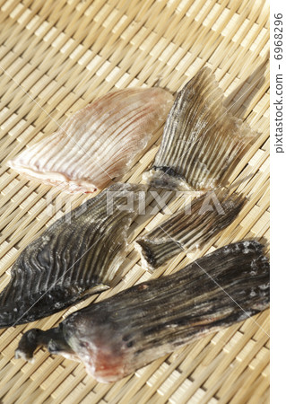 Fin of the Fugu 6968296