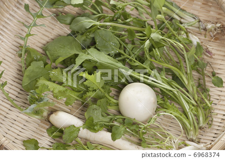 七種春天的草藥 6968374