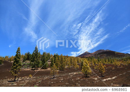 Tenerife, Teide landscape Tenerife, Teide landscape 6968981